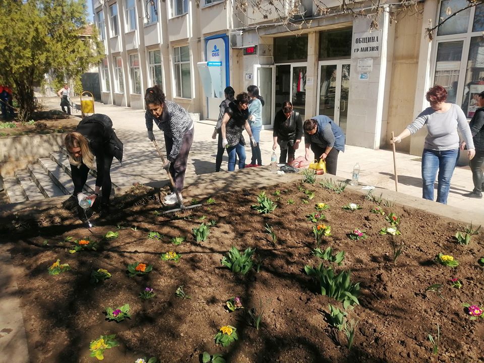 Зацветиха центъра на Мизия