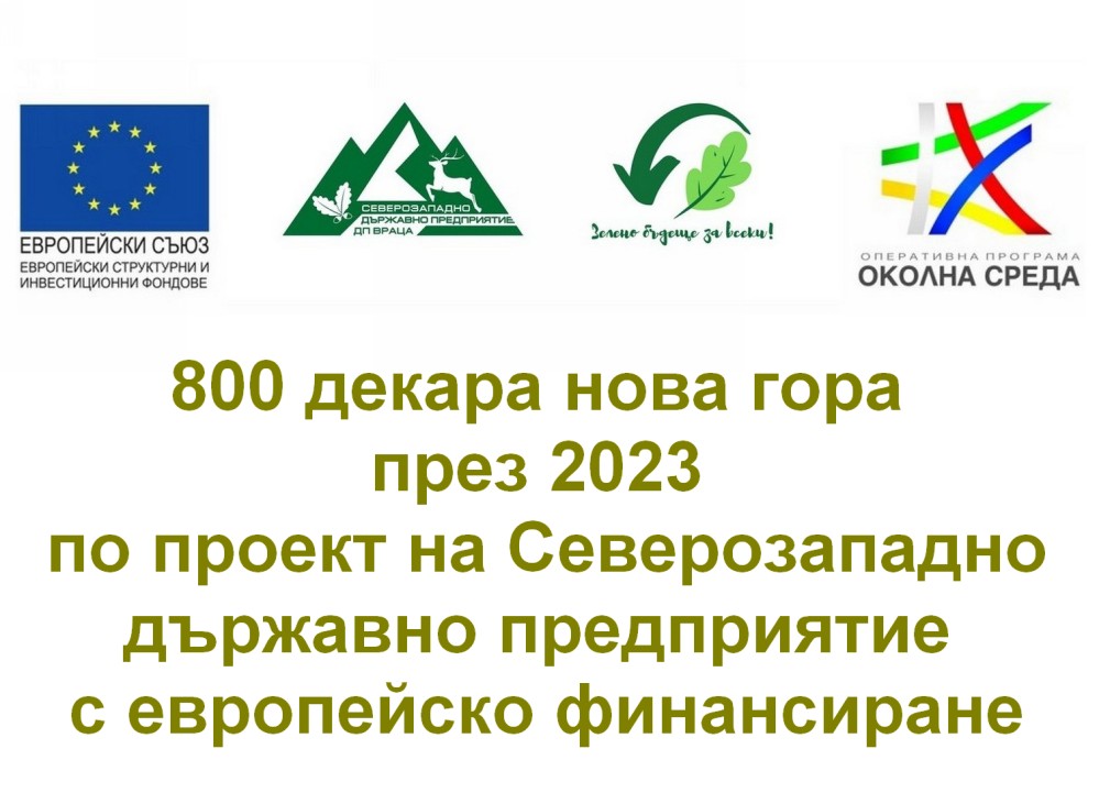 800 декара нова гора през 2023 по проект на Северозападно държавно предприятие с европейско финансиране