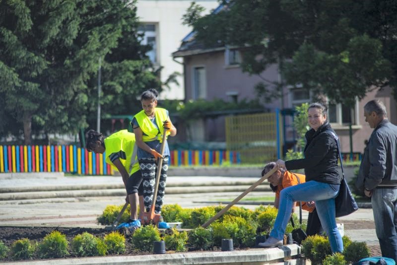 Над 1000 цветя украсиха фонтана в Мездра