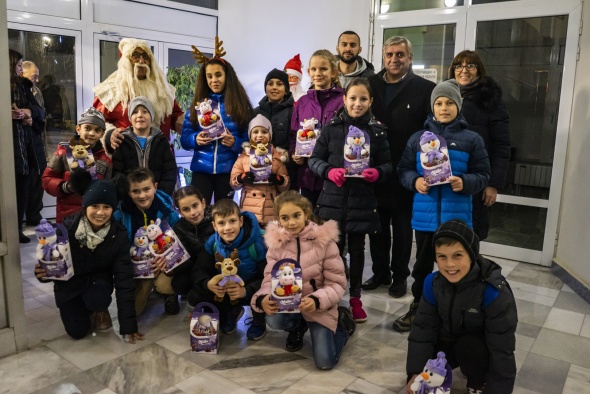 Пъстра елха грейна в центъра на Мездра