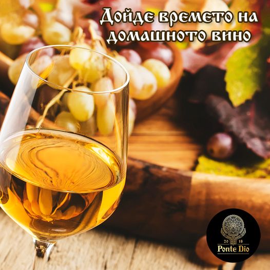 Висококачествено бяло грозде продава лозов масив-Мизия