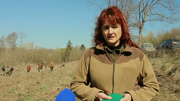 Засаждат 1000 дръвчета в селата от община Мездра
