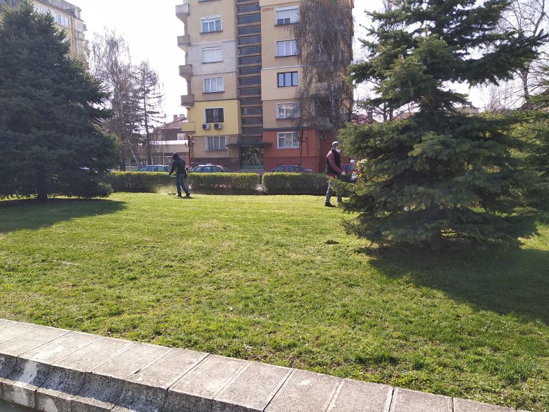 В Монтана косят тревните площи