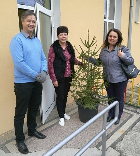ГЕРБ подари коледни елхи на училища