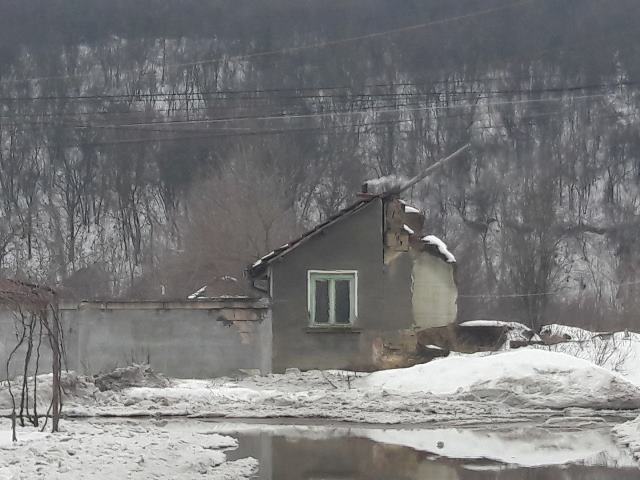 Самотник живее в парче от къща